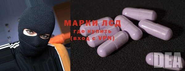 прущие грибы Абинск