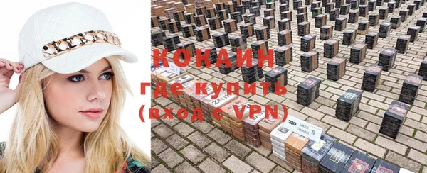 прущие грибы Абинск