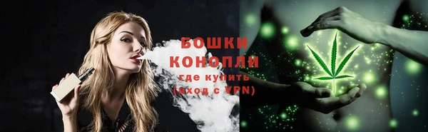 прущие грибы Абинск