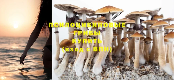 стафф Лабытнанги