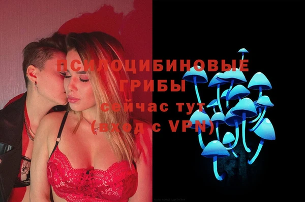 мдма Лагань