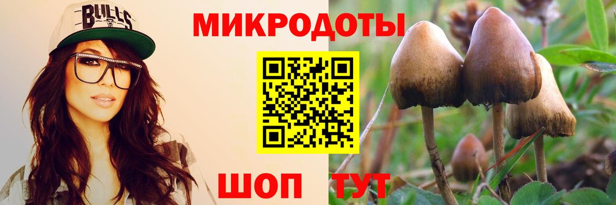 Галлюциногенные грибы ЛСД Алатырь